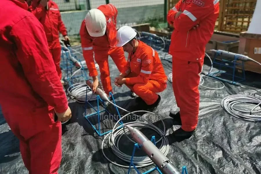 مراقبة حقل Liaohe Oilfield Lei 61 لتخزين الغاز DAS وDTS